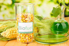 Rhyn biofuel availability