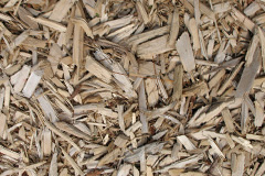 biomass boilers Rhyn