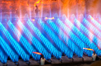 Rhyn gas fired boilers